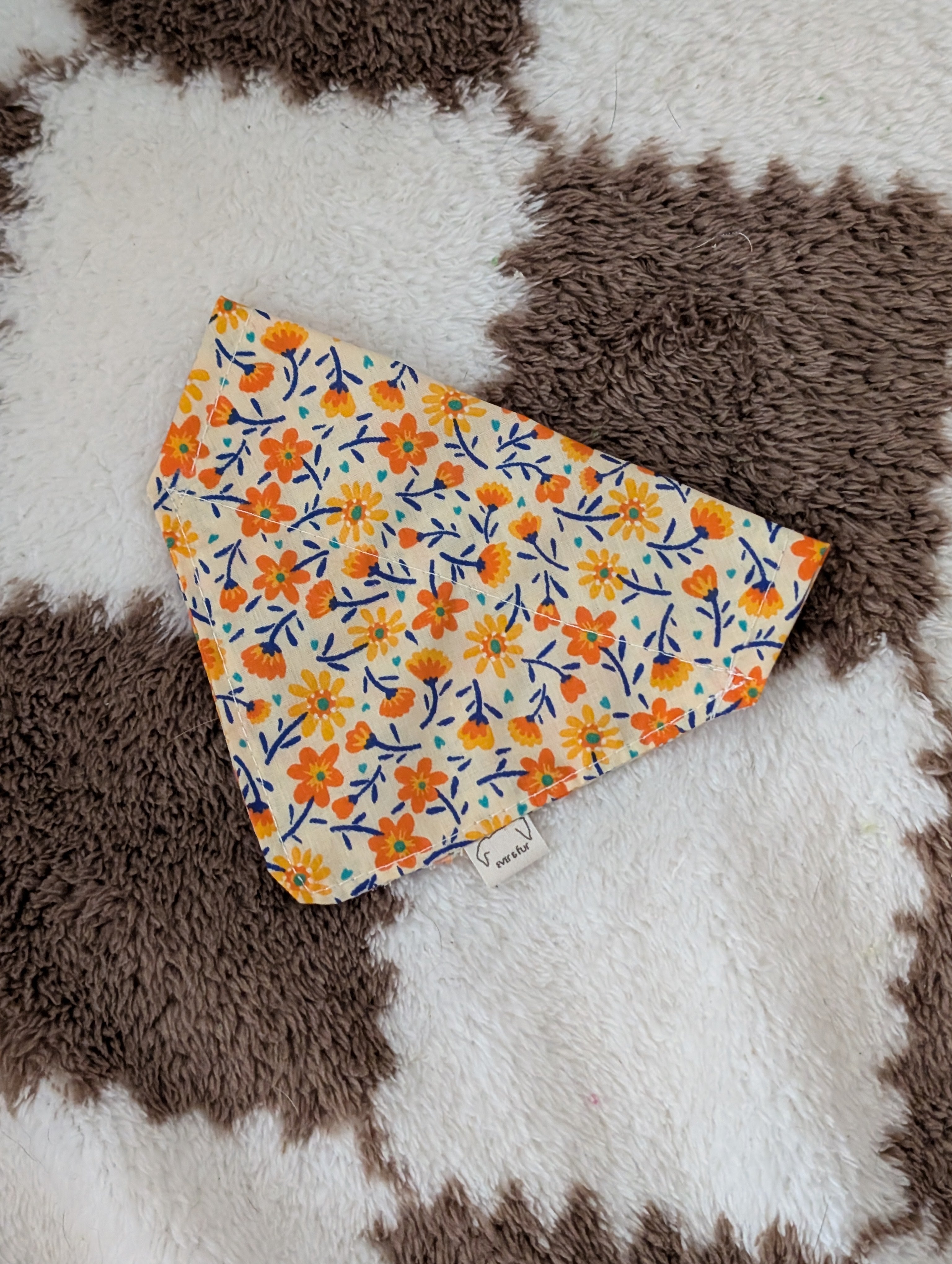 Citrus Garden Over Collar Bandana