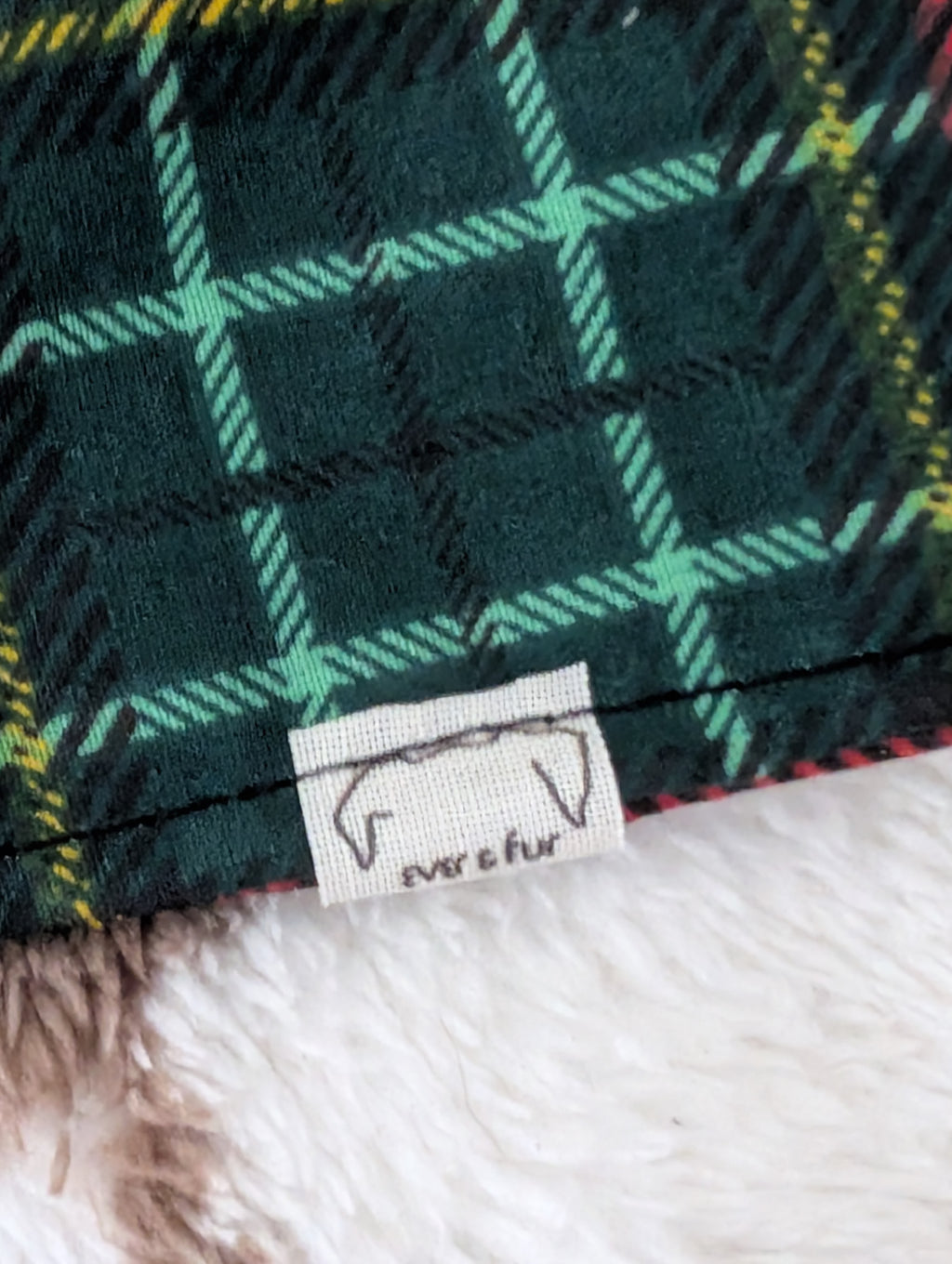 Tartan Tidings Over Collar Bandana