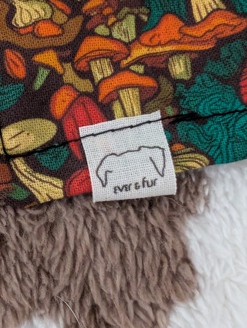 Moss & Magic Over Collar Bandana