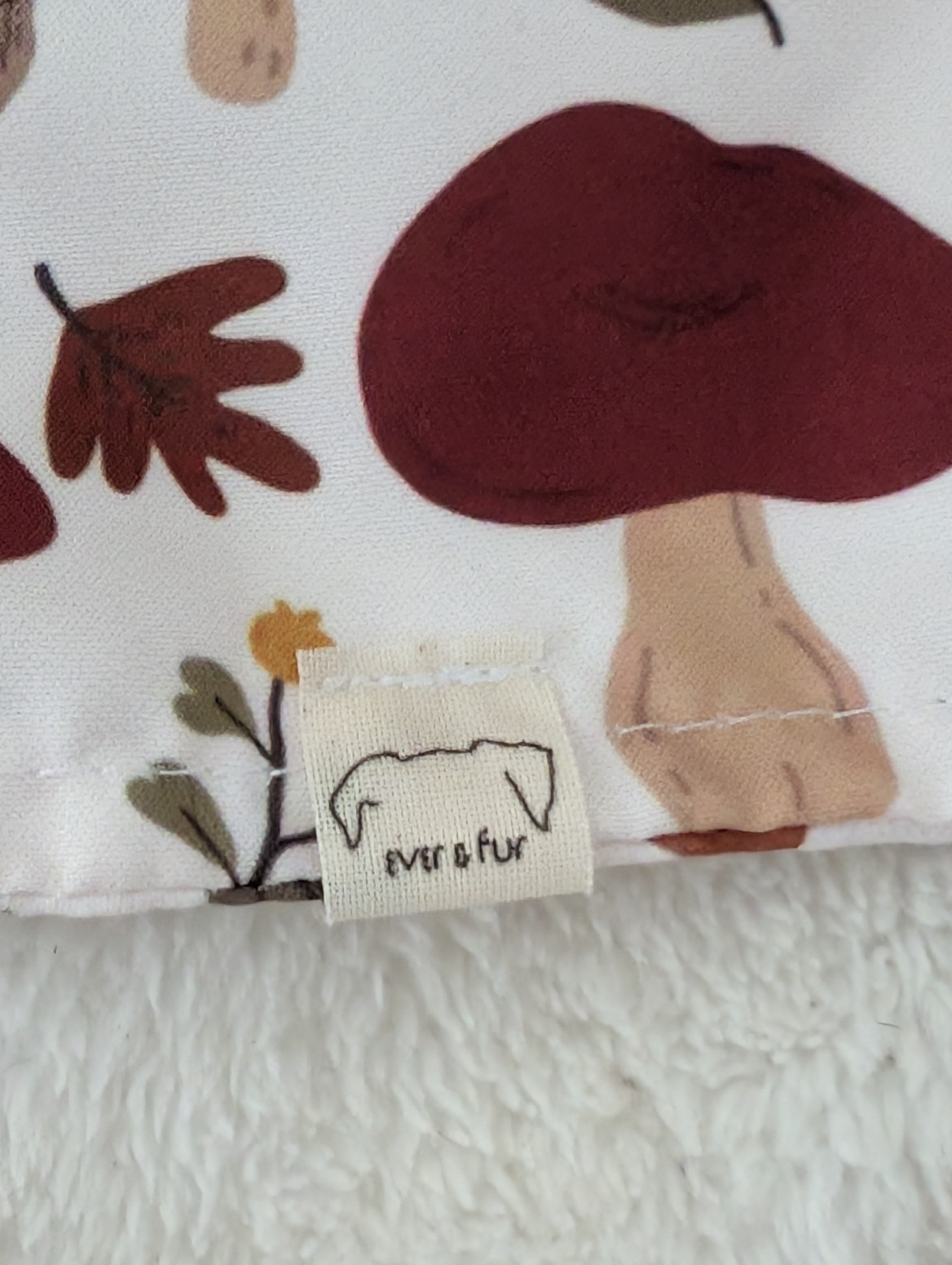 Mushroom Meadow Over Collar Bandana