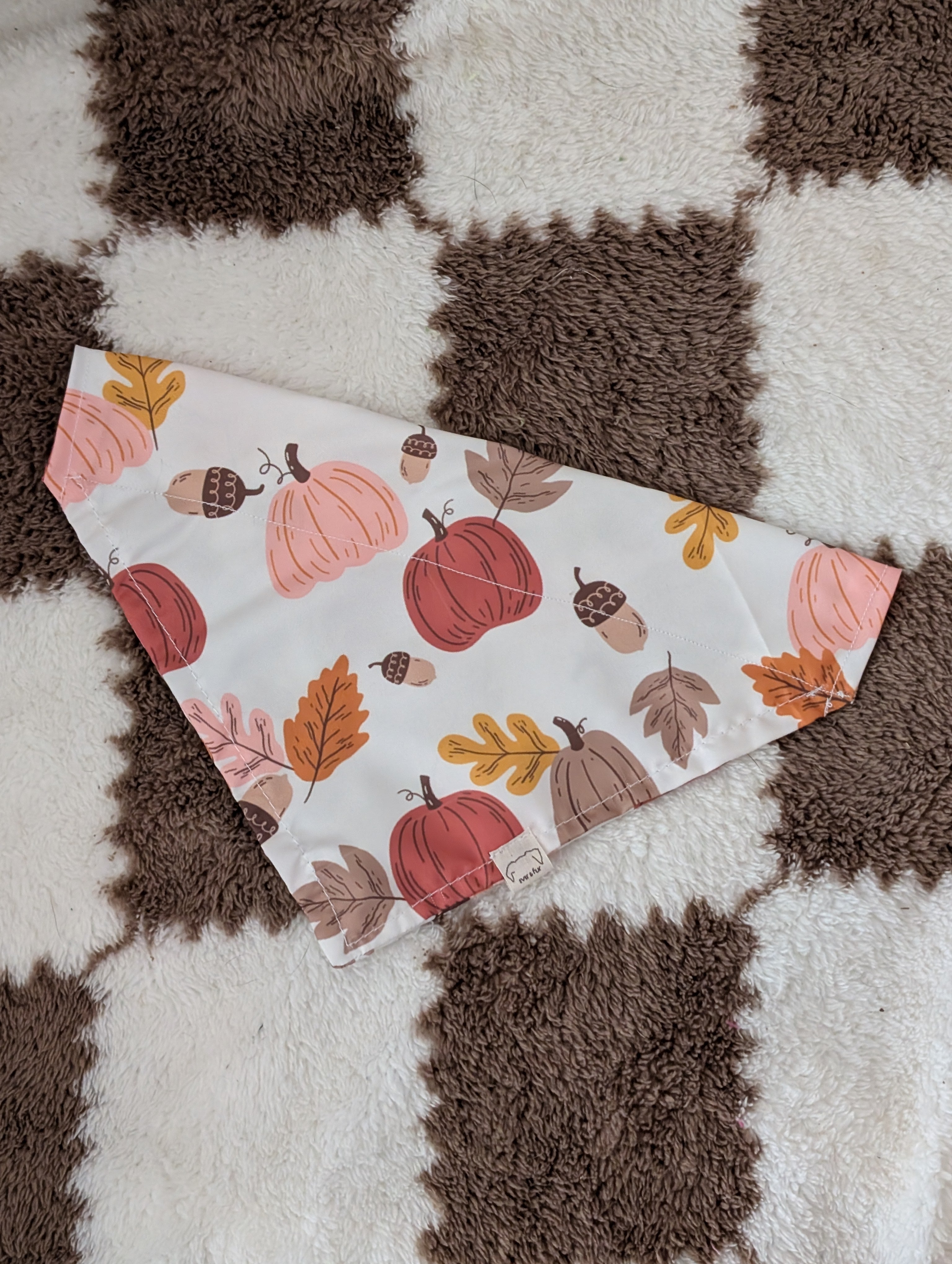 Acorns & Pumpkins Over Collar Bandana