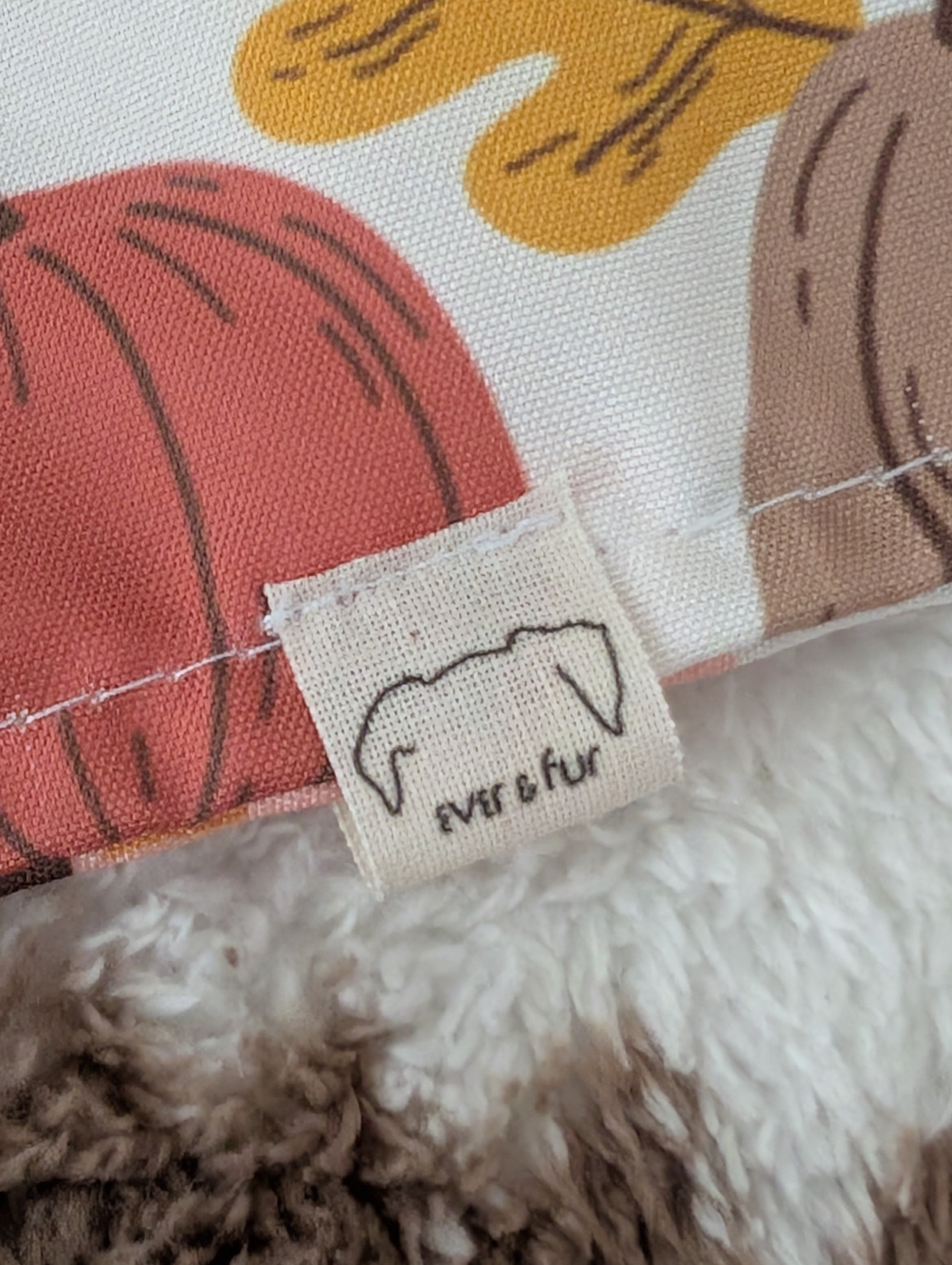 Acorns & Pumpkins Over Collar Bandana