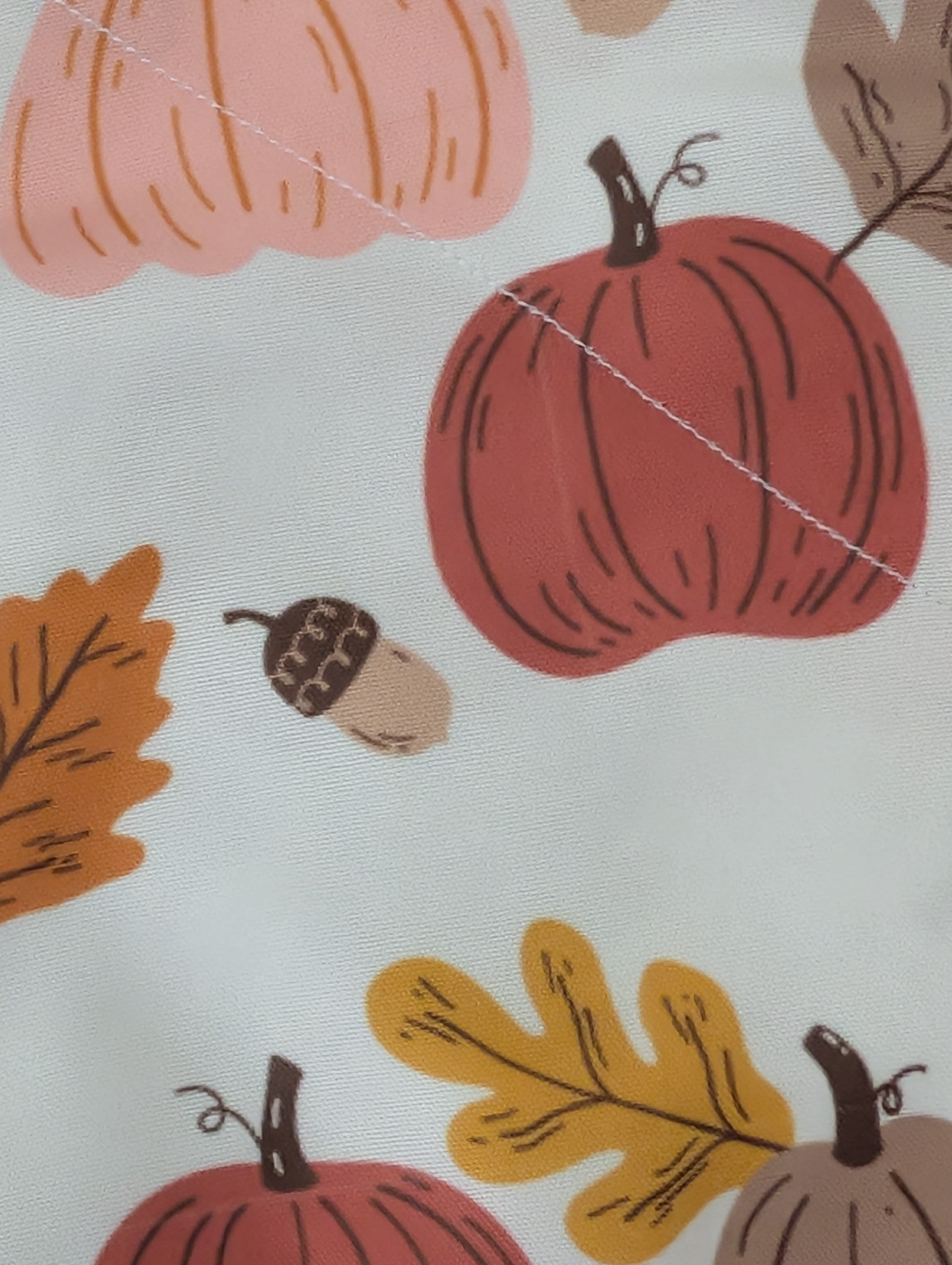 Acorns & Pumpkins Over Collar Bandana