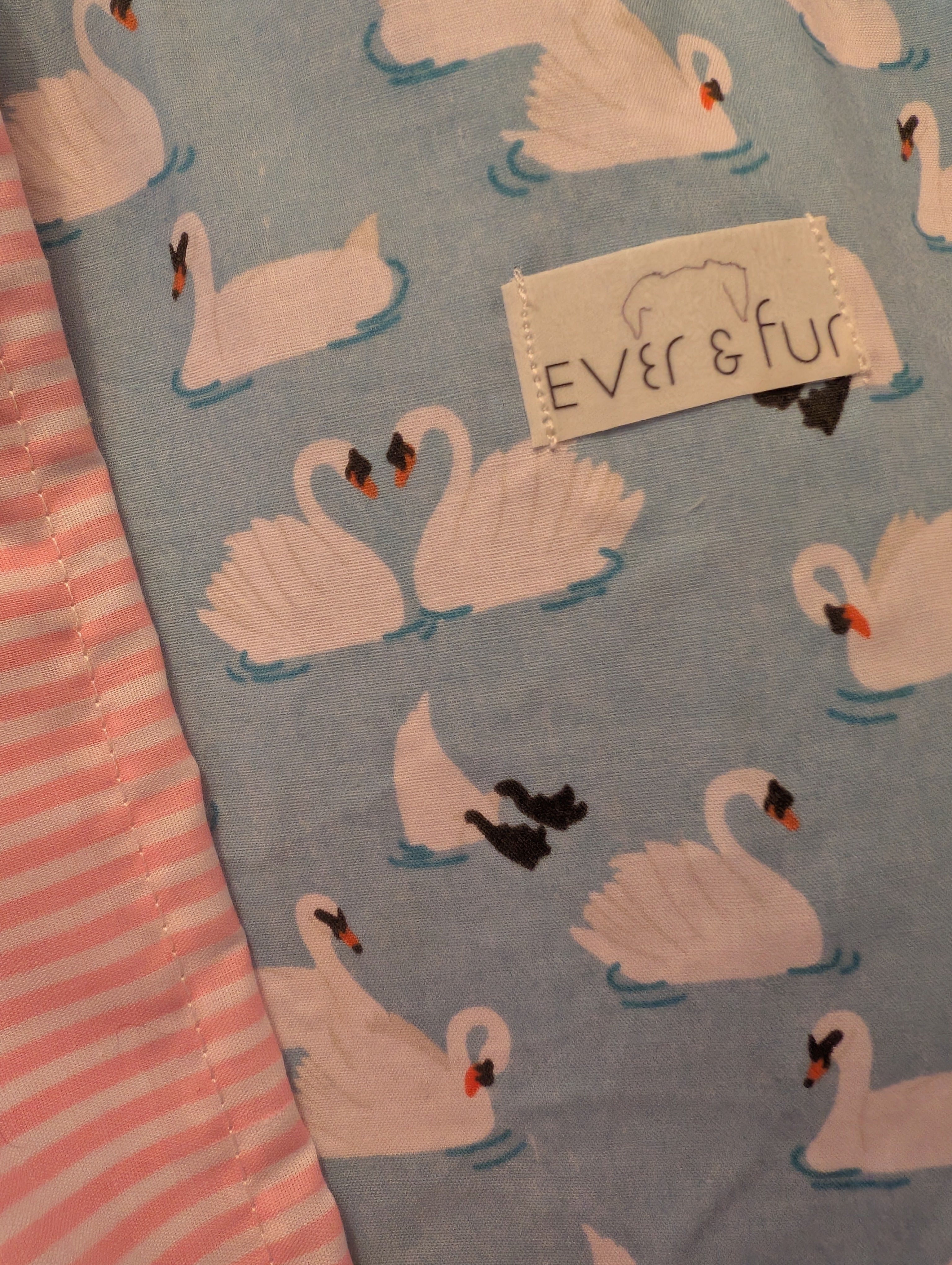 Whispering Swans Small Tote Bag