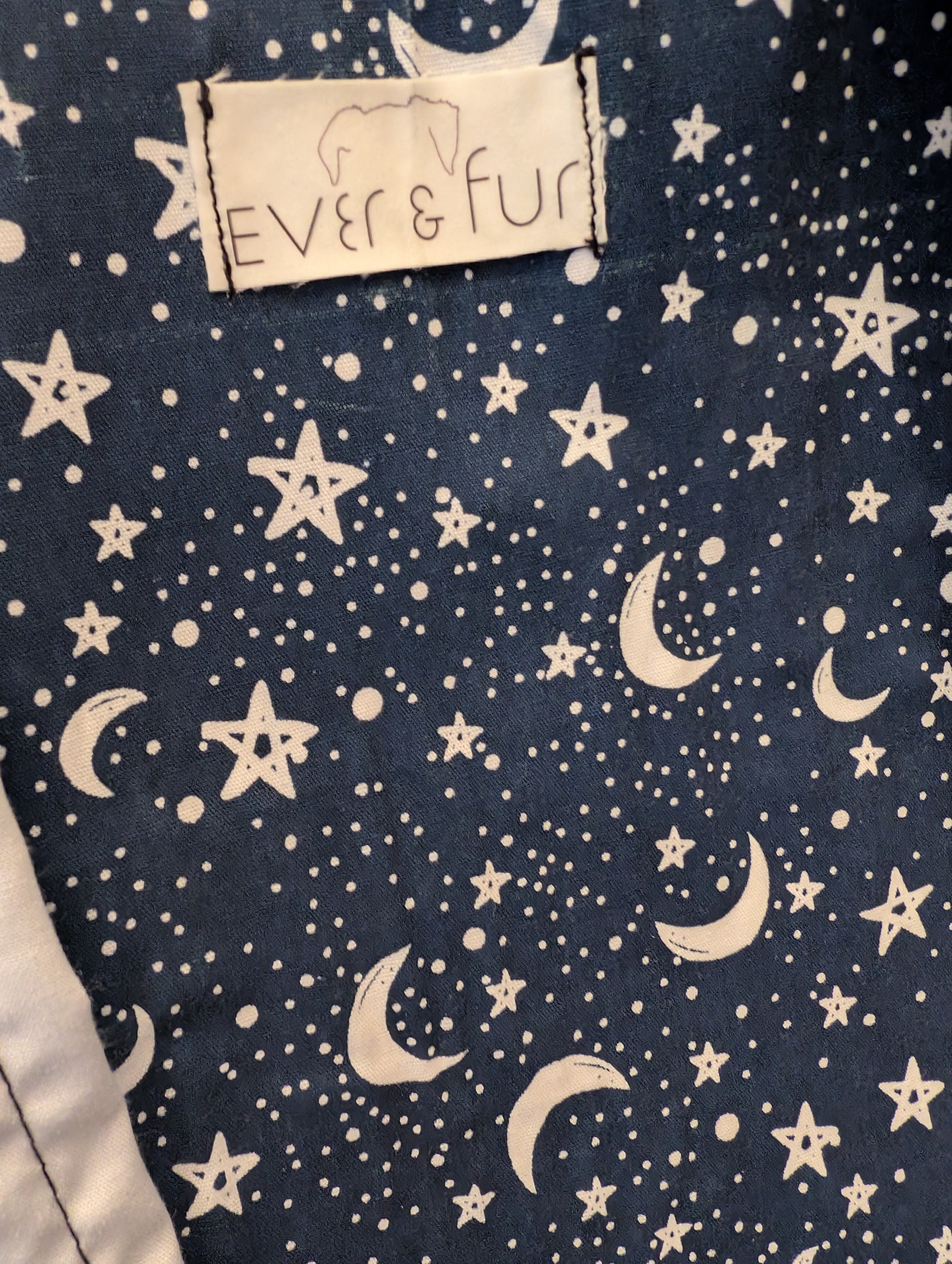 Moonlight Magic Small Tote Bag