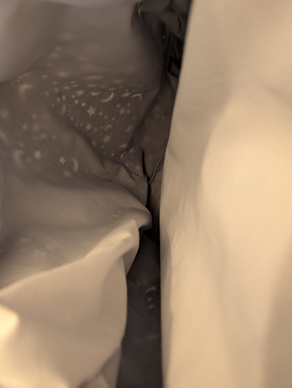 Moonlight Magic Large Tote Bag