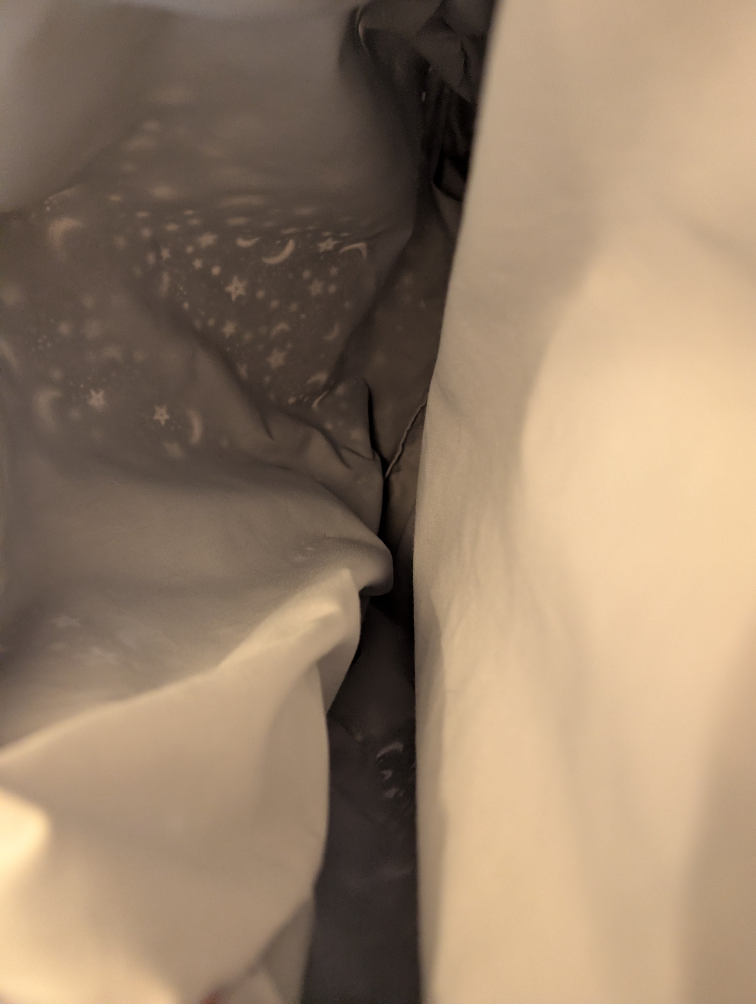 Moonlight Magic Large Tote Bag